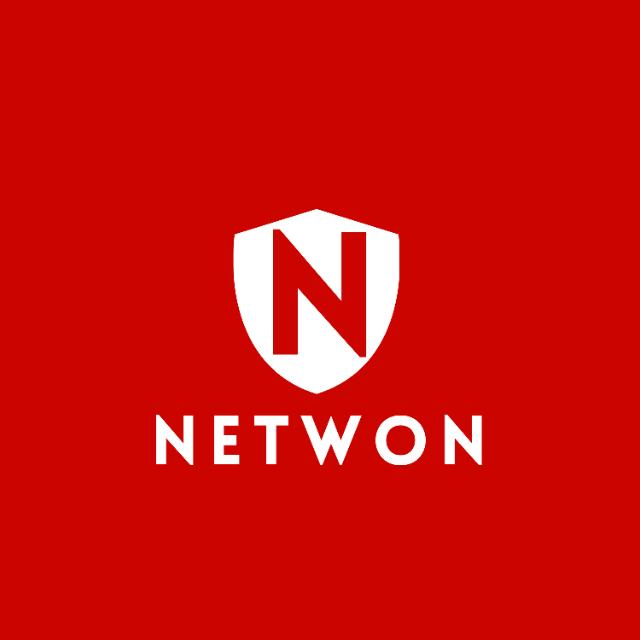 NetwonTeam Logo